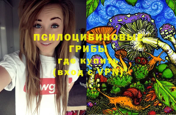 MDMA Premium VHQ Ладушкин