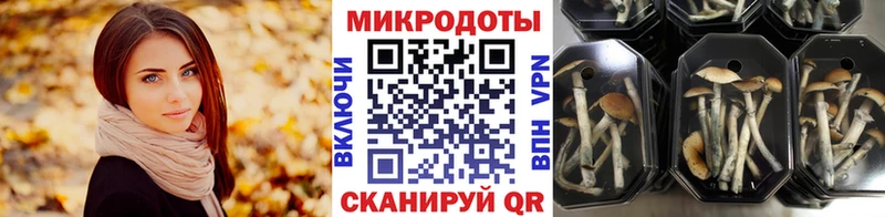 ссылка на мегу ссылка  Железногорск-Илимский  Псилоцибиновые грибы Psilocybine cubensis 